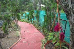 Walking Track