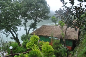 Serene View