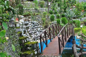 Pathway