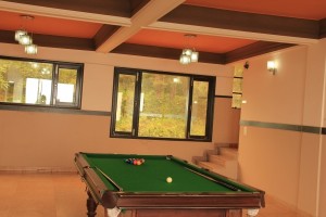 Pool Table
