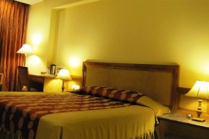Plush Interior