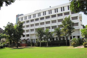Garden Area