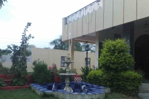 Garden Area