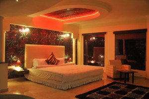 Plush Interior Plush Interior