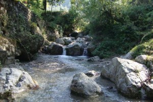 Falls near the resort Falls near the resort