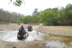 Jeep Safari Jeep Safari
