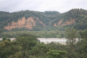 River Kosi behind Serenity River Kosi behind Serenity