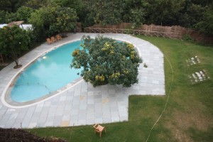 Pool View Pool View