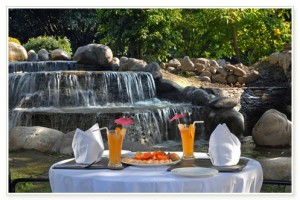 Outdoor Dining Outdoor Dining
