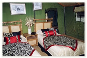Accommodation Accommodation