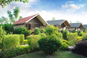 Cottages Amidst Greenary Cottages Amidst Greenary
