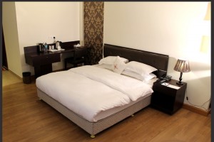 Hotel Room Hotel Room