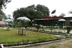 Lawn Lawn