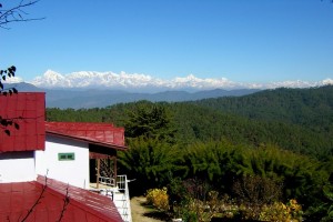 Nature View