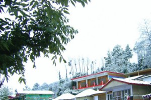 Resort during snow