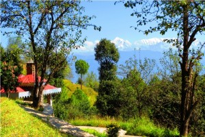 Nature view Nature view