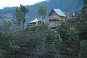 Resort View