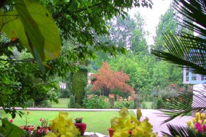 Lawn Lawn