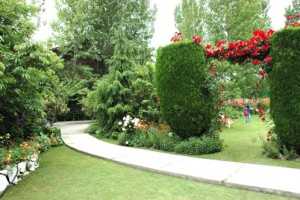 Garden Garden