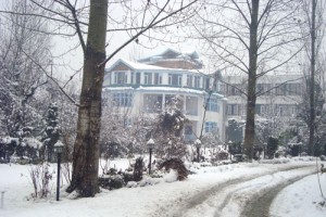 During snow During snow