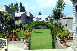 Lawn Lawn