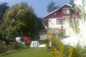 Lawn