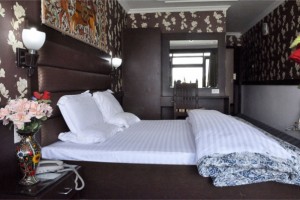 Hotel Room Hotel Room