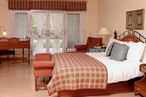 Comfortable Room