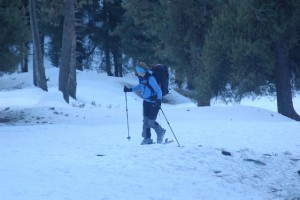 Skiing Skiing