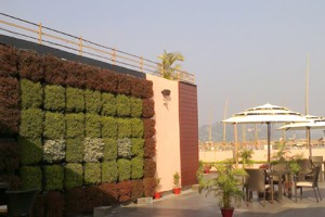 Roof Top Dining