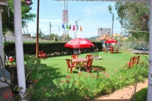 Lawn Area