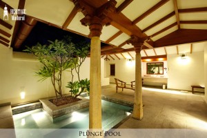Plunge Pool