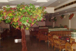 Restaurant Restaurant