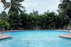 Swimming Pool Swimming Pool