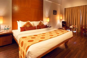 Executive Suite Executive Suite