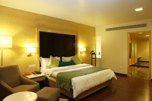 Plush Interior