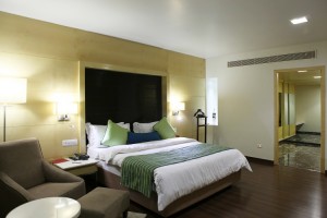 Luxury Accommodation