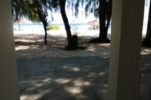 View from the Room