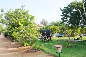Lawn Area