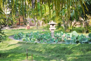 Garden Area