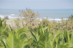 Beach View