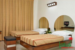 Double Bed Room Double Bed Room