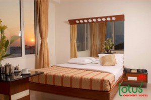 Comfortable Room Comfortable Room