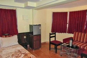 Well-Furnished Room Well-Furnished Room