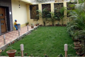 Garden Area