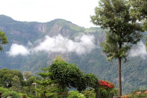 Nature
