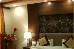 Plush Interior