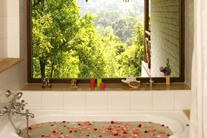 Bathtub