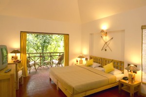 Comfortable Room