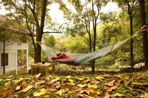 Hammock